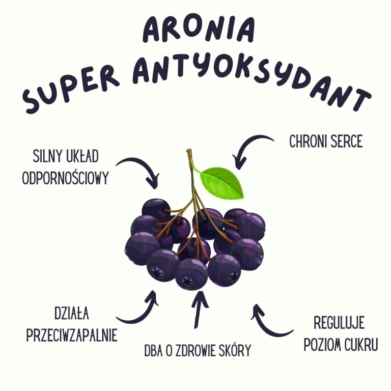 sok z aronii